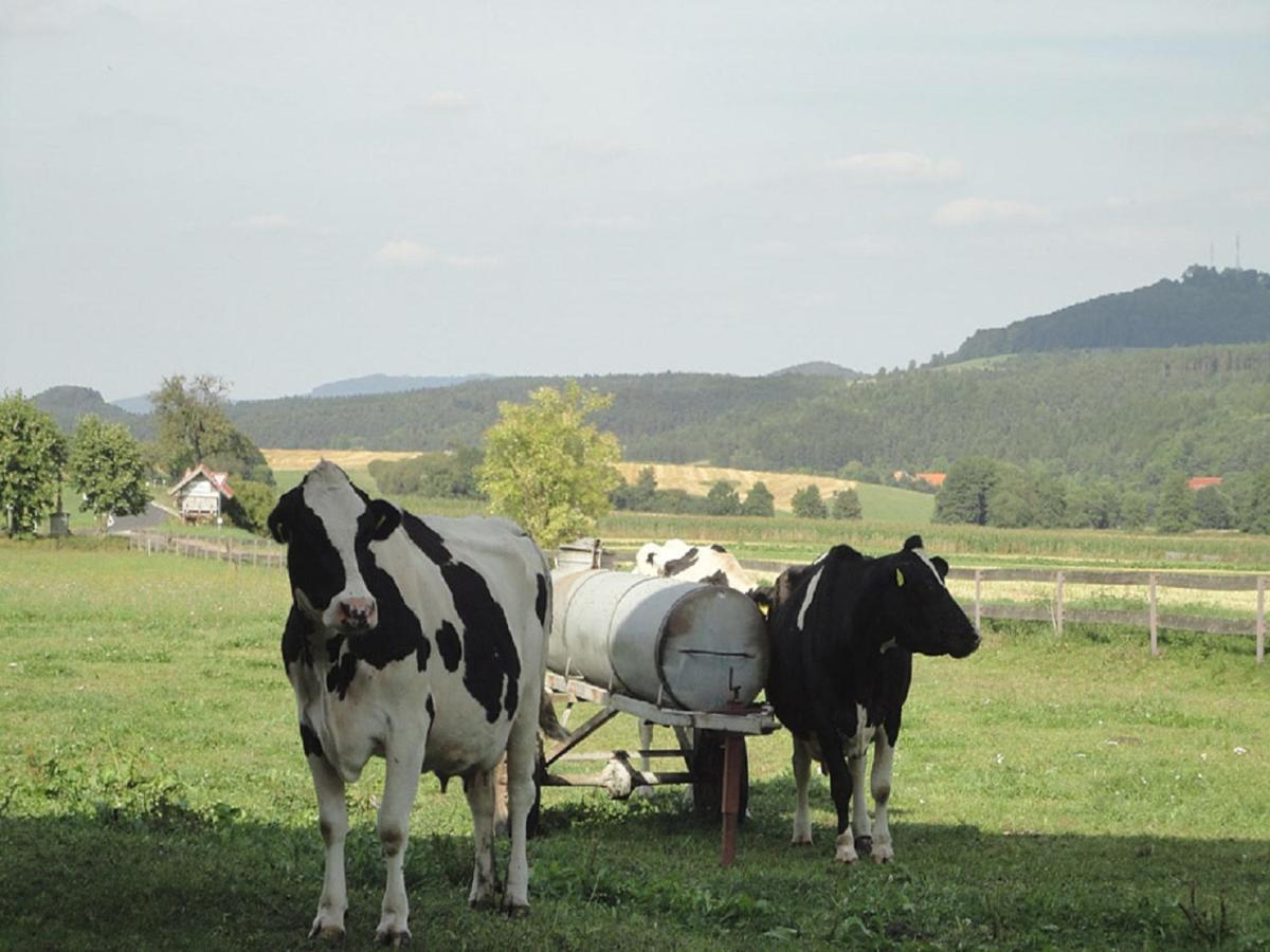 Monteurwohnungen Goeb - Nicht Fuer Urlaubsgaeste Geisa ภายนอก รูปภาพ